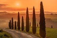 Zonsopgang in Toscane, Italië van Achim Thomae Photography thumbnail