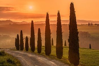 Lever de soleil en Toscane, Italie