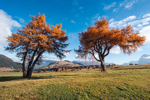 dolomites