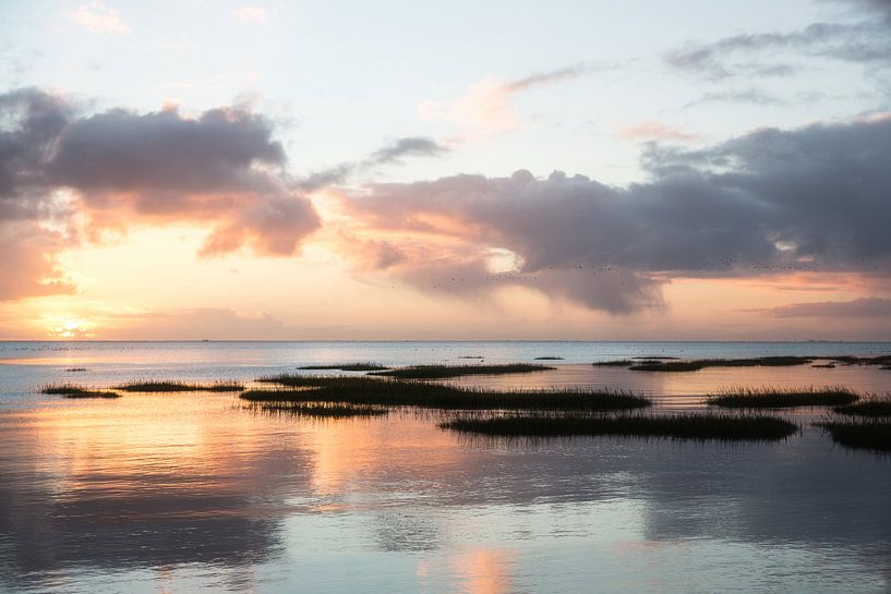 Wattenmeer-Sonnenaufgang bei Schiermonnikoog von Arjan Boer