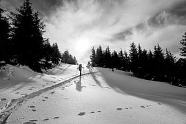 bis an die Spitze! von samir Nashashibi