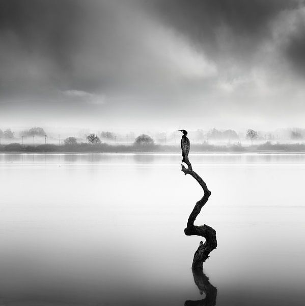 Whispers of Silence by George Digalakis