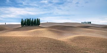 Herbst in der Toskana von Achim Thomae Photography