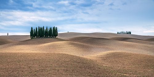 Herbst in der Toskana von Achim Thomae Photography