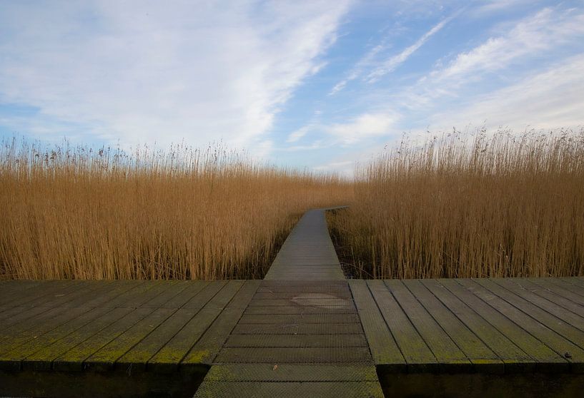 Groningen Sightseeing von Anton Kloof