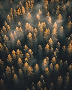 Herbst in den Dolomiten