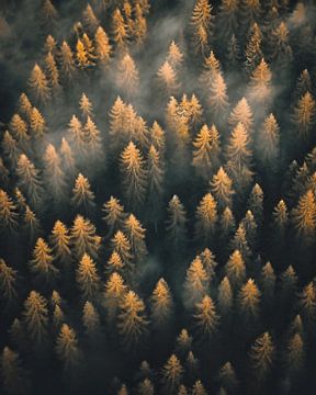 Herbst in den Dolomiten von fernlichtsicht