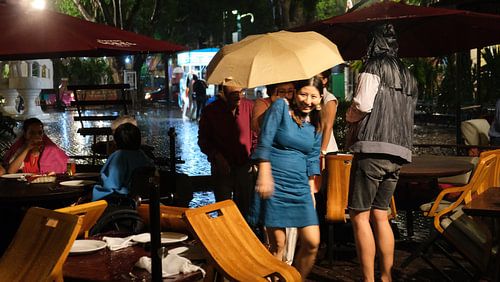 Umbrella, Mérida, Yucatan, Mexico