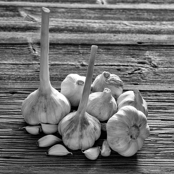 Garlic black and white - Fine Art Food Photography by Photo Art Thomas Klee