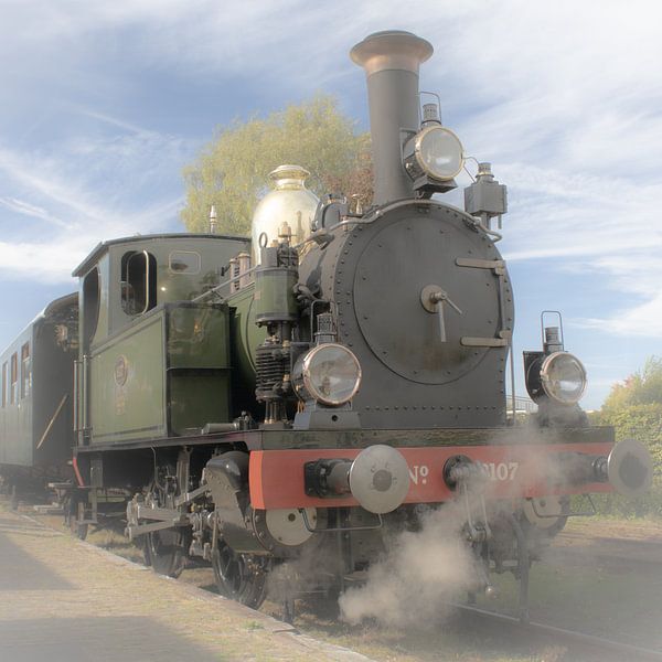 Train à vapeur en couleurs fraîches par Impression d'artiste de la nature