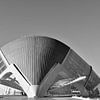 Palau des Artes in Valencia van Jan Radstake