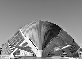 Palau des Artes in Valencia sur Jan Radstake