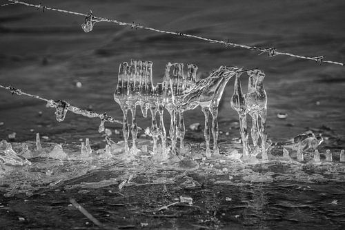 Abstract Ice forms on barbed wire