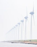 Des moulins à vent dans la brume près d'Urk
