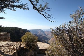 Uitzicht over de Grand Canyon