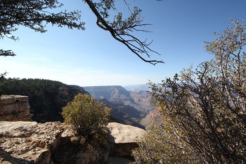 Uitzicht over de Grand Canyon van Jasper Hovenga