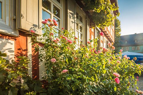 Half-timbered houses in the old town centre of Frankfurt-Höchst by Christian Müringer