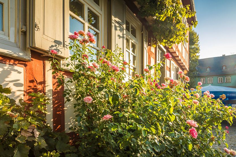 Half-timbered houses in the old town centre of Frankfurt-Höchst by Christian Müringer