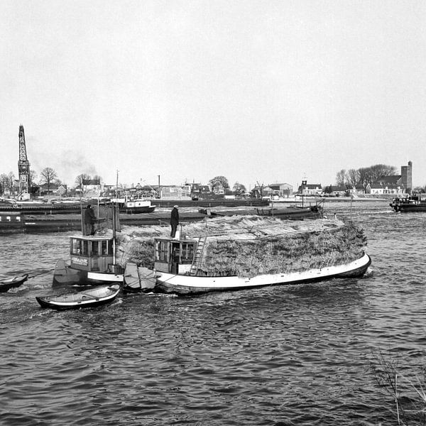 Rietbootjes van Dordrecht van Vroeger