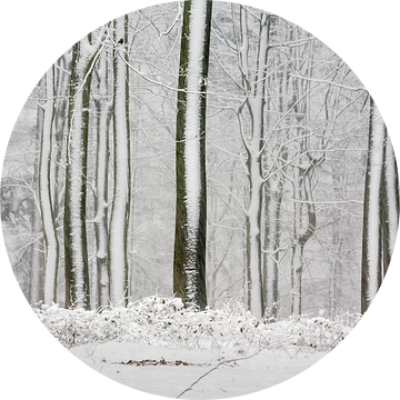 Bomen in de sneeuw als streepjescode van Jim van Iterson
