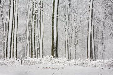Bomen in de sneeuw als streepjescode van Jim van Iterson