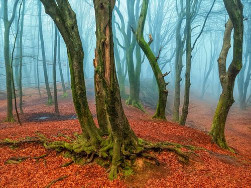 A Misty Invitation