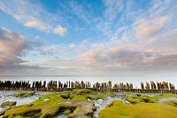 Wadden Sea