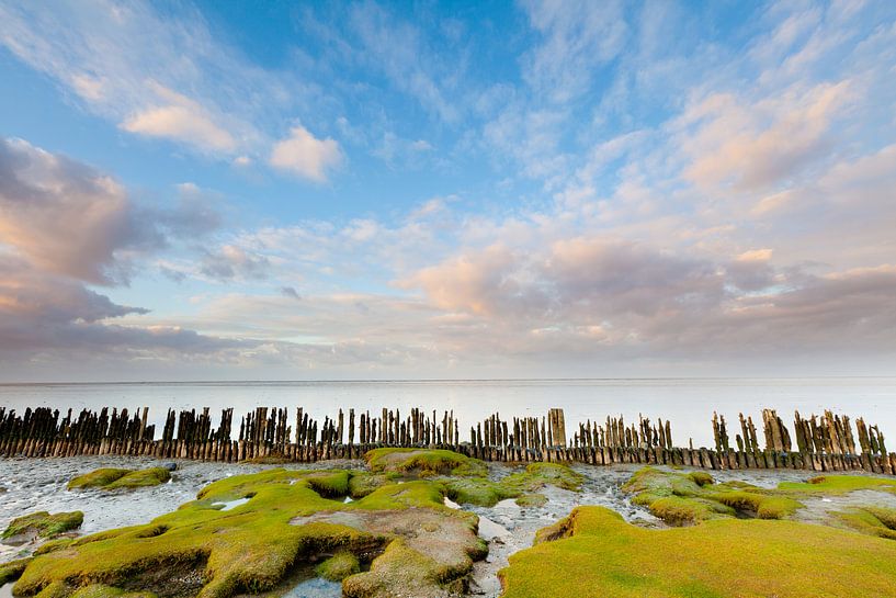 Wattenmeer Moddergat von Ron Buist