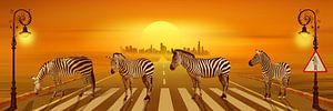 Use the zebra crossing by Monika Jüngling