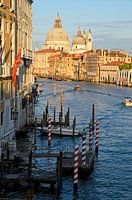 Verticaal uitzicht vanaf Ponte dell'Accademia in Venetie
