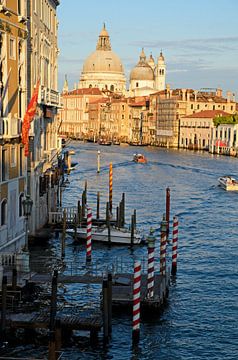 Verticaal uitzicht vanaf Ponte dell'Accademia in Venetie van Remco Swiers
