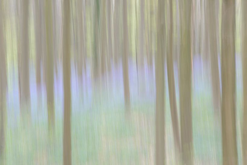 Sprookjesachtig blauw bos van Barbara Brolsma