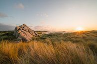 Duinen Bretagne van Andy Troy thumbnail