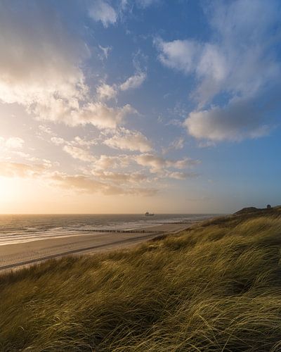 Dunes in Zeeland 2