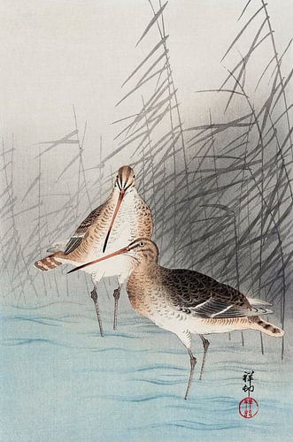 Two bar-tailed godwits (1926) by Ohara Koson. by Studio POPPY