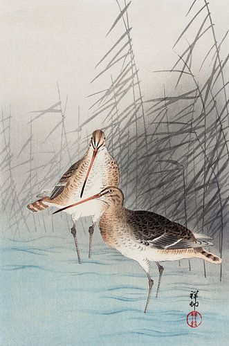 Two bar-tailed godwits (1926) by Ohara Koson.