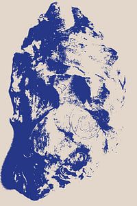 Kaigara - Oyster shell spiral pattern