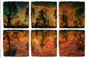 Reflectie Bomen abstract Meervoudige belichting 6 ramen van Dieter Walther