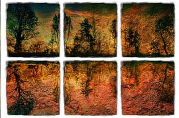 Reflectie Bomen abstract Meervoudige belichting 6 ramen van Dieter Walther