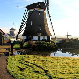 WindMolen van Robbert van der Kolk