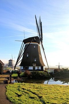 WindMolen van Robbert van der Kolk