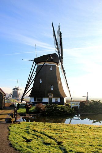 WindMolen by Robbert van der Kolk