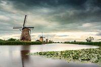Kinderdijk in evening light
