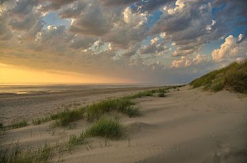 Duinen in Noord-Holland van Tanja Voigt