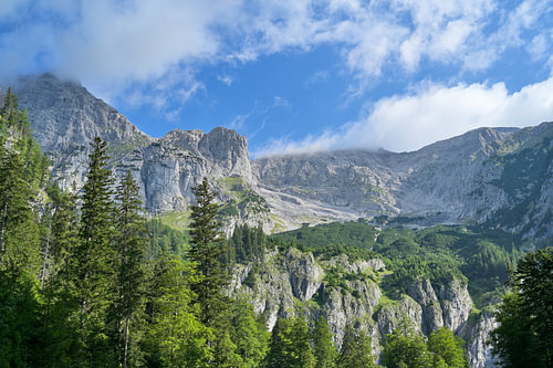 Berge und grüne Wälder unter blauem Morgenhimmel