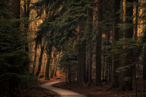 Herfst