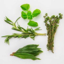 Mediterrane Kräuter von Uwe Merkel