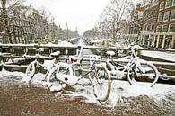 Amsterdam enneigée en hiver aux Pays-Bas par Eye on You Aperçu