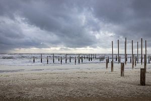 Palendorp Petten