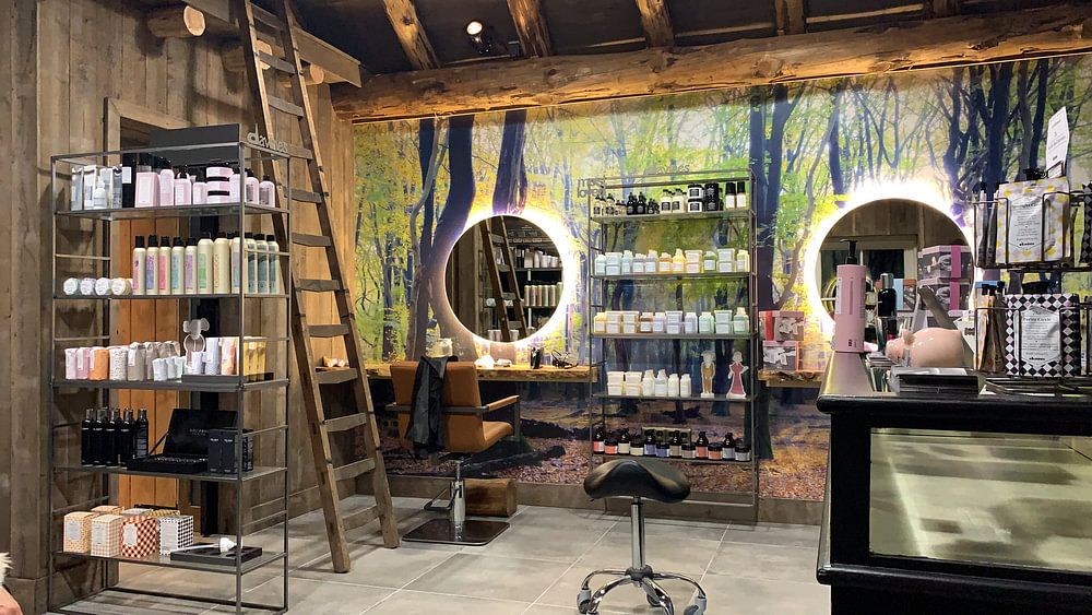 Speulderbos (the Netherlands) by Albert Mendelewski